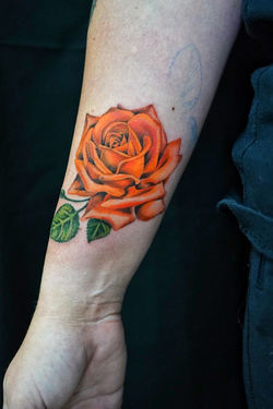 photo_2026-03-16_23-12-47