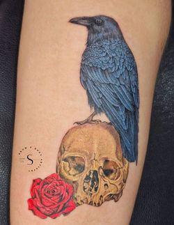 photo_2026-03-16_23-12-38