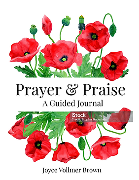 Prayer Journal cover.png