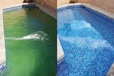 before after 3.webp