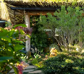 JARDIM COLEÇÃO - PAISAGISMO COM DIVERSIDADE E RIQUEZA DE ESPÉCIES