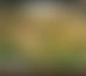 JARDINS QUE CUIDAM DE SI MESMOS: O CONCEITO DE GILLES CLÉMENT