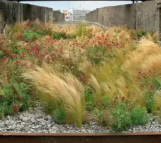 JARDINS QUE CUIDAM DE SI MESMOS: O CONCEITO DE GILLES CLÉMENT