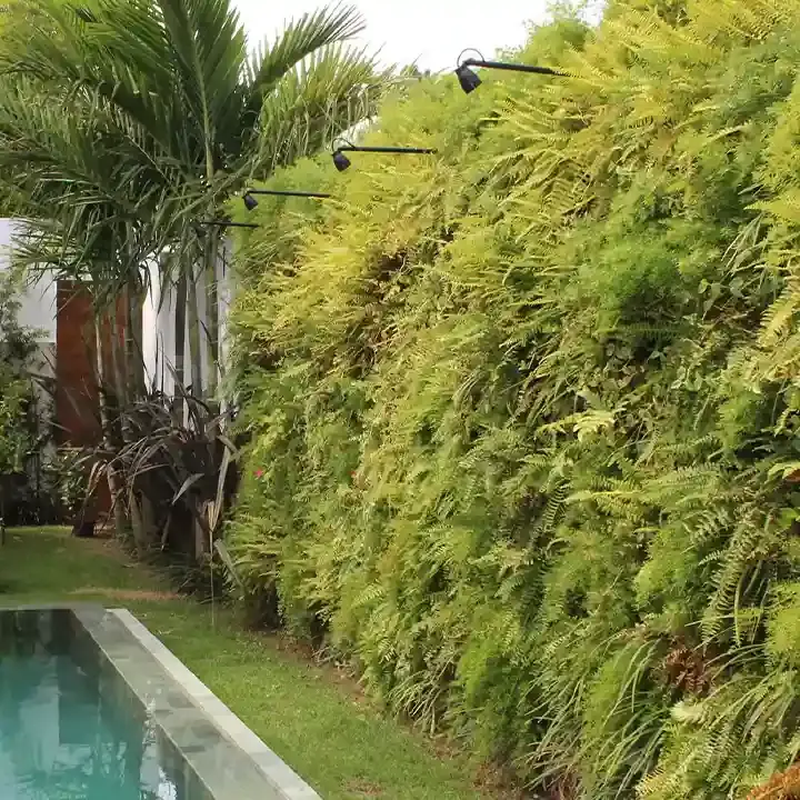 Projetos Faisal Paisagistas Marcelo Faisal jardim que acolhe