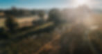 dji_fly_20250222_074634_0138_1740170665772_photo.jpeg