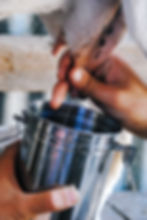 DSC_0162.jpeg