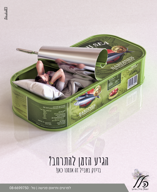 סרדינים.208894.png