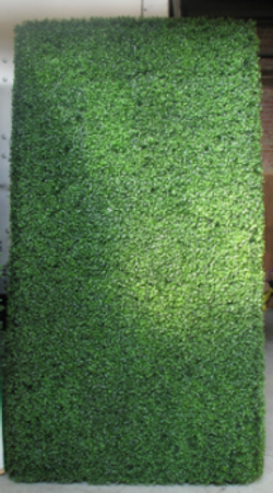 Boxwood Walls