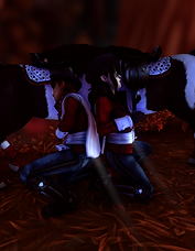 StarStable_2024-11-28_21-58-45.png