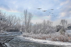 Winter Mission