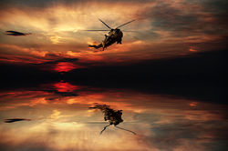 Sea King Sunset