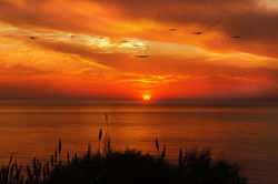 Back Over The Coast