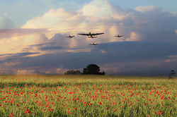 Remembrance Day