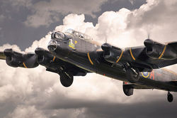 Thumper Gets Airborne