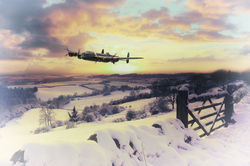 A Winters Wonder