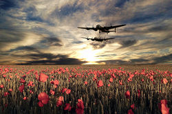 Brave Men All