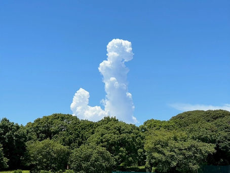 鎌倉リーグ3戦目🥎