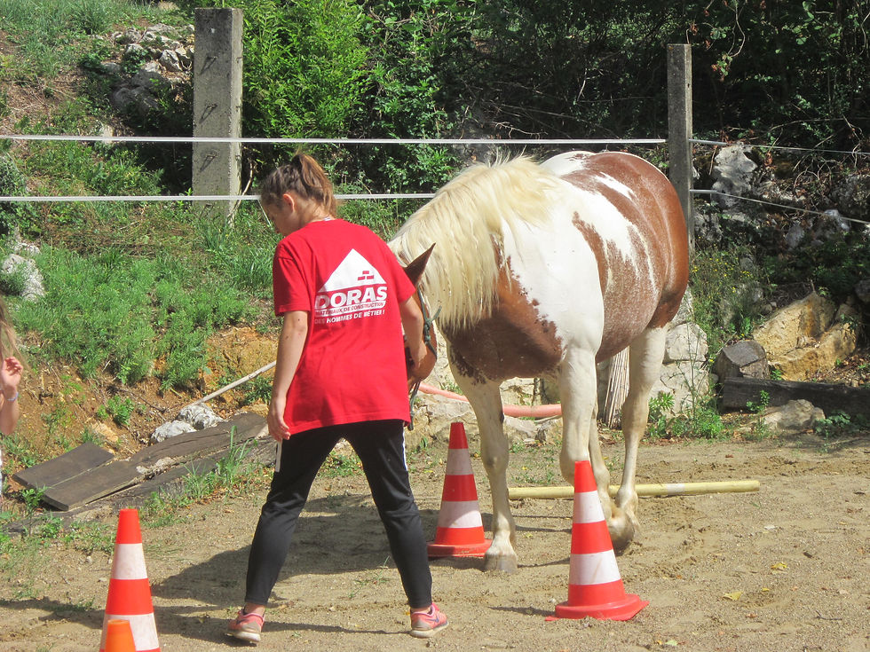 Journée_Equitalpha_12_juillet_17_002