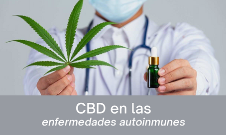 Los beneficios del CBD en las enfermedades autoinmunes