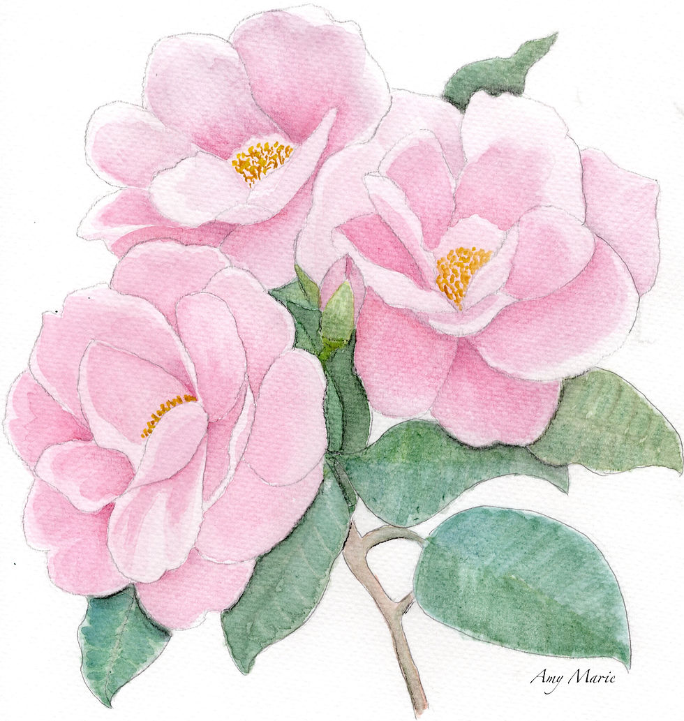 Image depicts a watercolor painting of three pink flowers