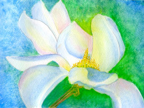 Coloring Rainbows watercolor painting (white flower)