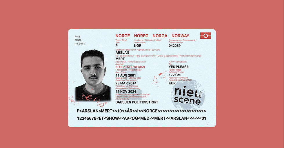 MERT FEIRER 10 ÅR I NORGE - ET STANDUPSHOW