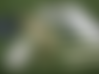 Unpacking the Rules and Regulations of Professional Clothing and Equipment in Cricket: Guide for Fan