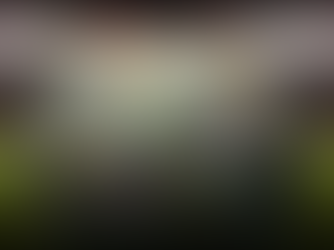 Governance and Financial Regulation in Football The Financial Fair Play Paradigm