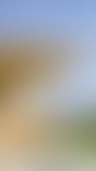 HJERL HEDE - BESØGSCENTER