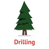 Tree Drilling (2).png