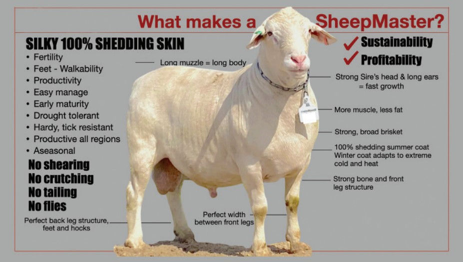 What makes a SheepMaster.jpg