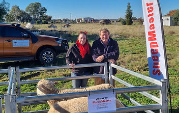 janaree sheepmaster open day