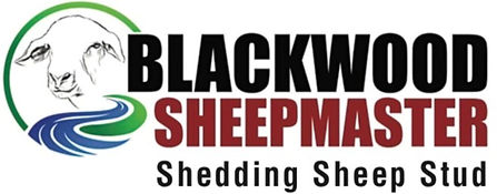 balackwood sheepmaster 24_edited.jpg