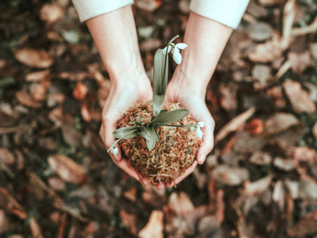 Mini-rituales para conectar en tiempos modernos
