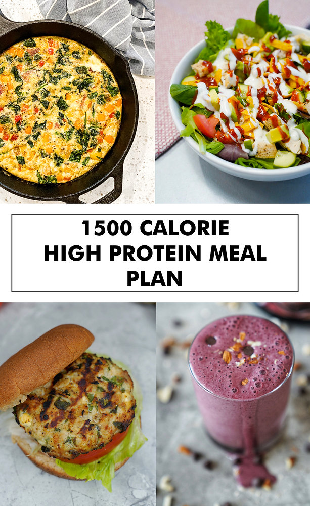 500 calorie high protein meals