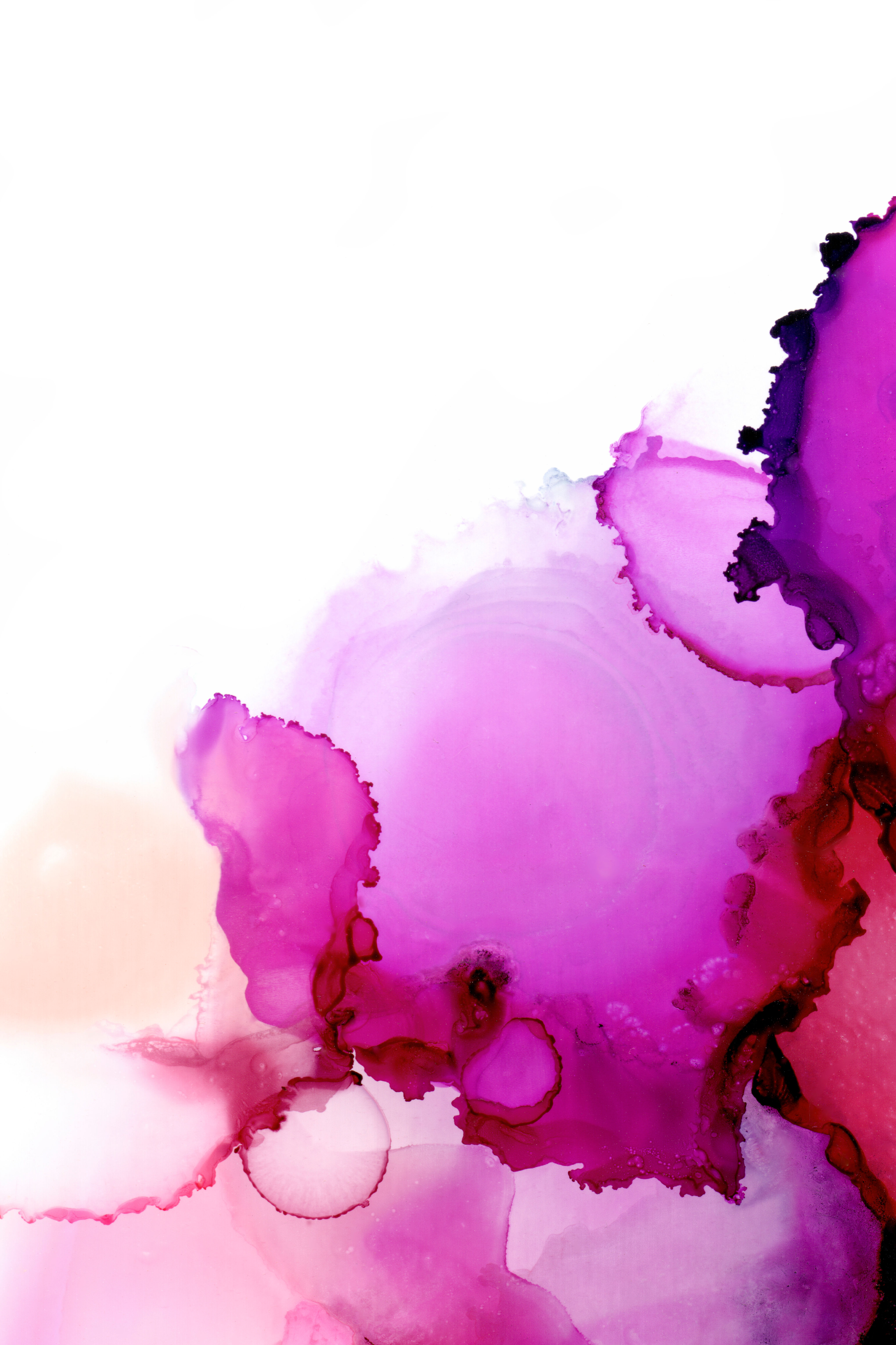 Flutter II - Fine Art Print