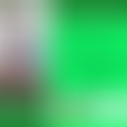 Get ready for the Green Party of Utah April Nominating Convention!