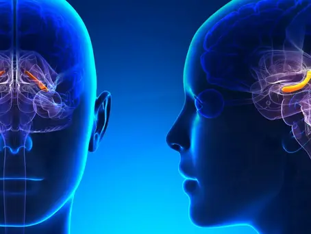TMS for PTSD: A Fresh Approach to Healing in Queensland