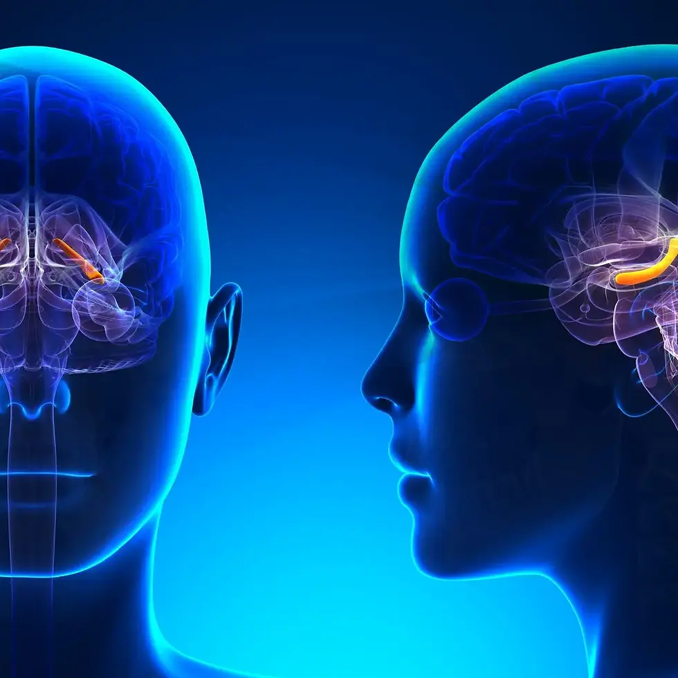 TMS for PTSD: A Fresh Approach to Healing in Queensland