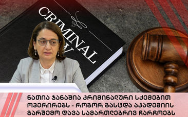 ნათია ჯანაშია კრიმინალური სქემებით ოპერირებს - როგორ გასცდა აკადემიის გარშემო დავა სამართლებრივ ჩარჩოებს