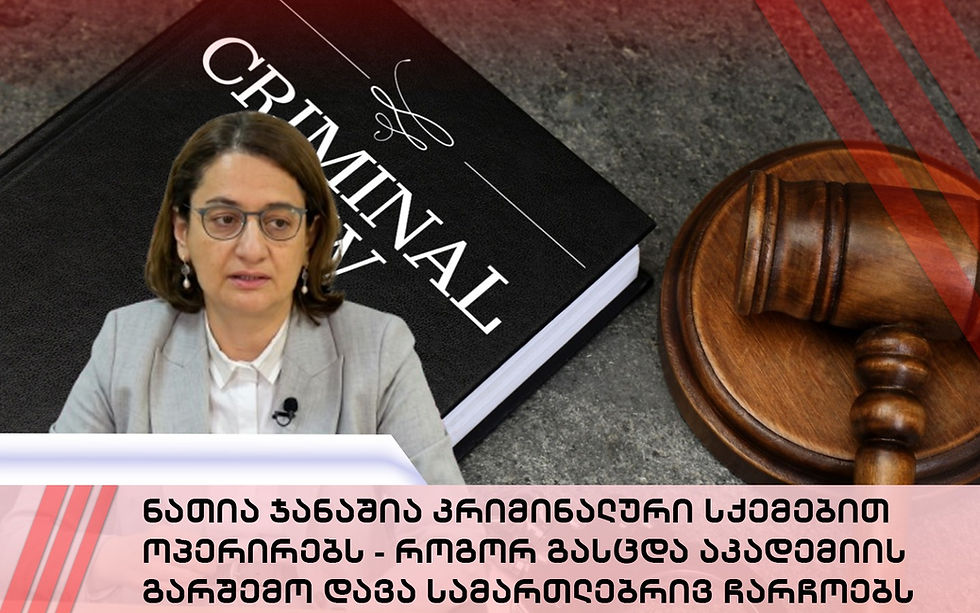ნათია ჯანაშია კრიმინალური სქემებით ოპერირებს - როგორ გასცდა აკადემიის გარშემო დავა სამართლებრივ ჩარჩოებს