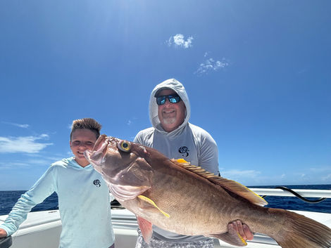 Yellowedge grouper