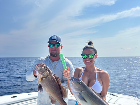 Grouper and Tile fish
