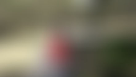 LAIMĖS KELIU, arba drugelis išskrenda ieškoti spalvų...