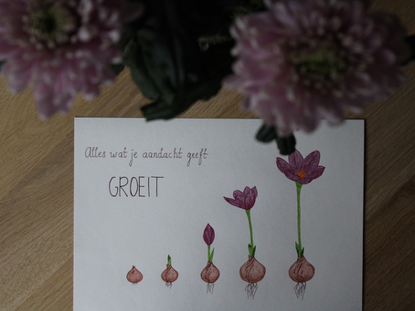 Alles wat je aandacht geeft, GROEIT