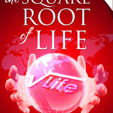 Book #2 - MANIFEST THE ULTIMATE LIFE