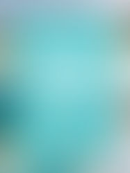 The BVI described as colors according to ChatGPT