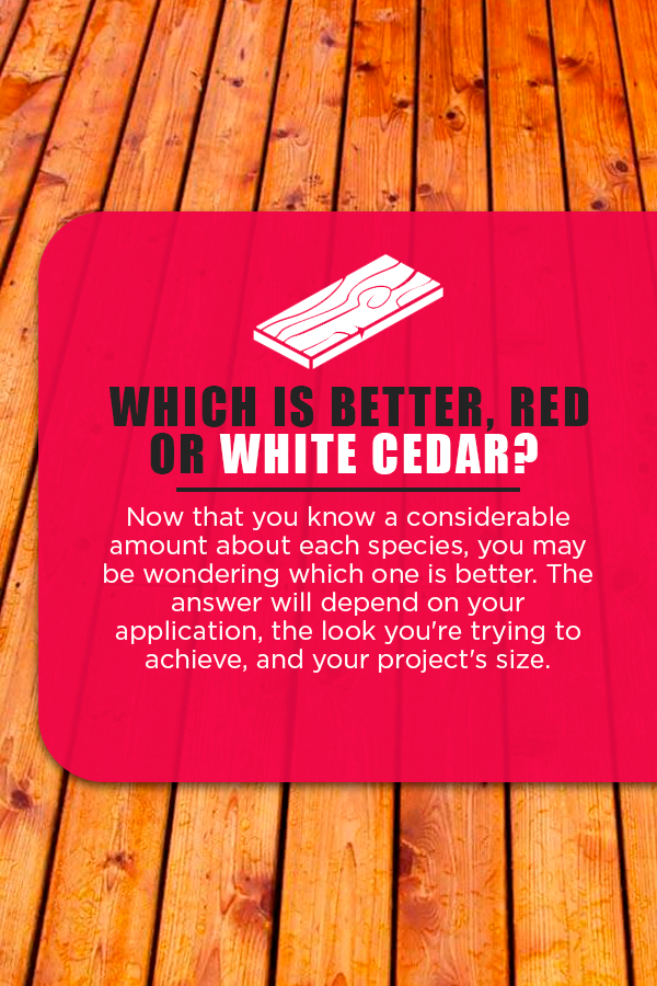 Eastern White Cedar vs. Western Red Cedar Cedar Roof Coatings