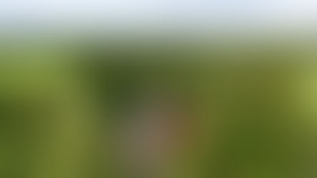 Newsletter - 12th December