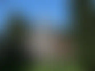 Newsletter June 2025